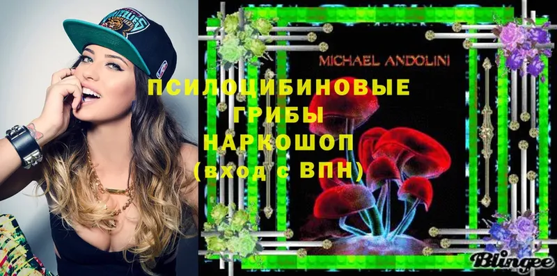 Псилоцибиновые грибы Psilocybe  Лаишево 